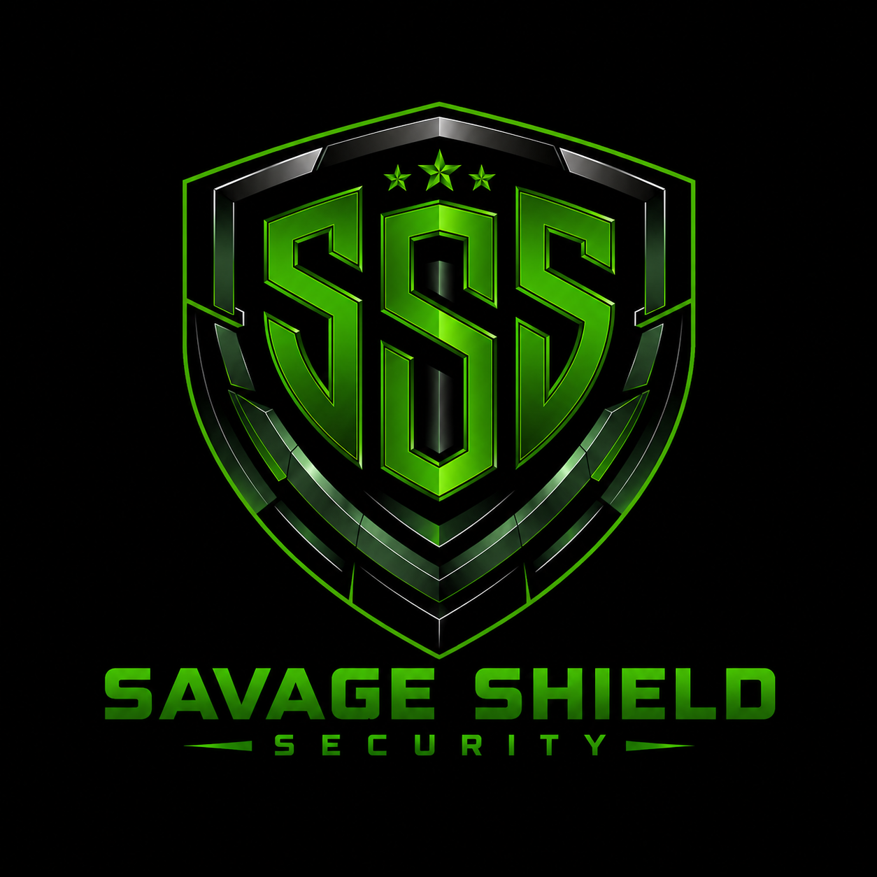 Armed Personal Protection